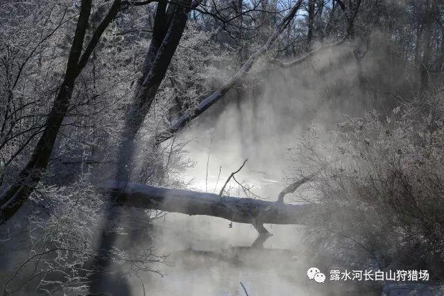 烧饭做菜有什么技巧，有必要去培训吗？