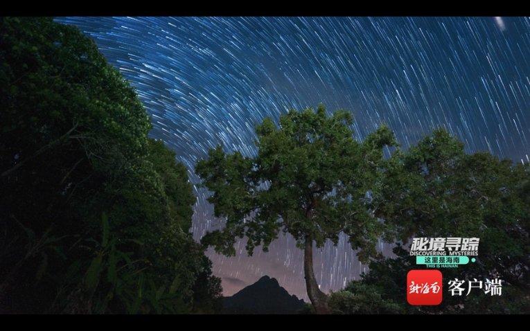 蝴蝶消消乐