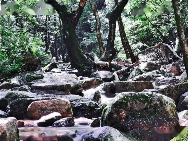 脑洞小老弟无实名认证