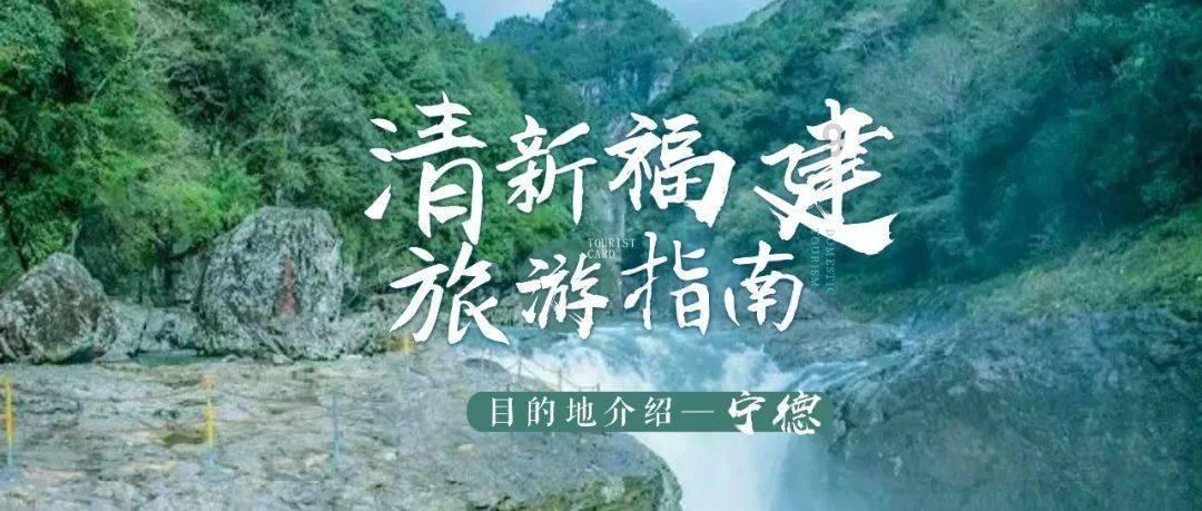 救援小犬立苏