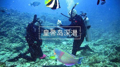 林靖恩准备到国外去生活，不和亲生父母相认，只想开启新的人生
