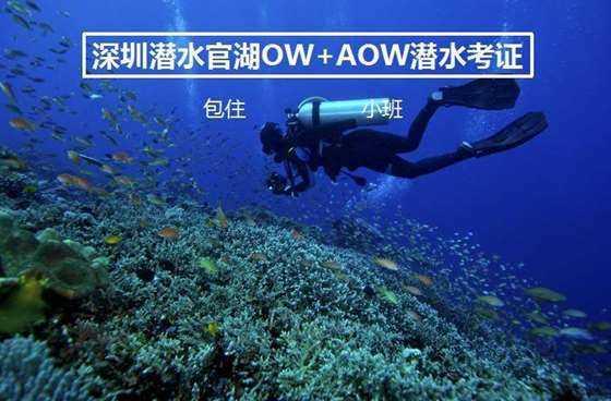 如约而至