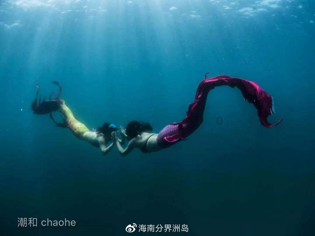 燃烧吧大脑免广告最新版