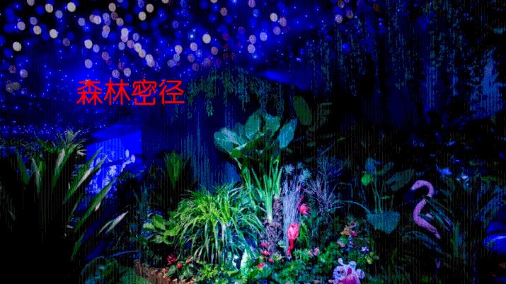 勇担大行使命，服务高质量发展